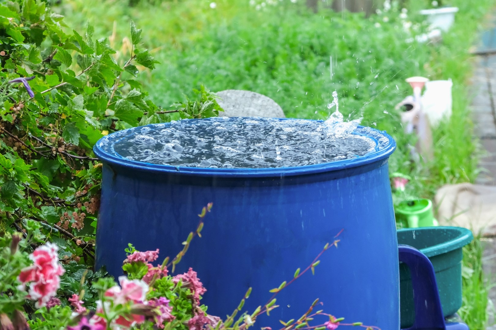 Rain Barrel/Water Conservation Workshop